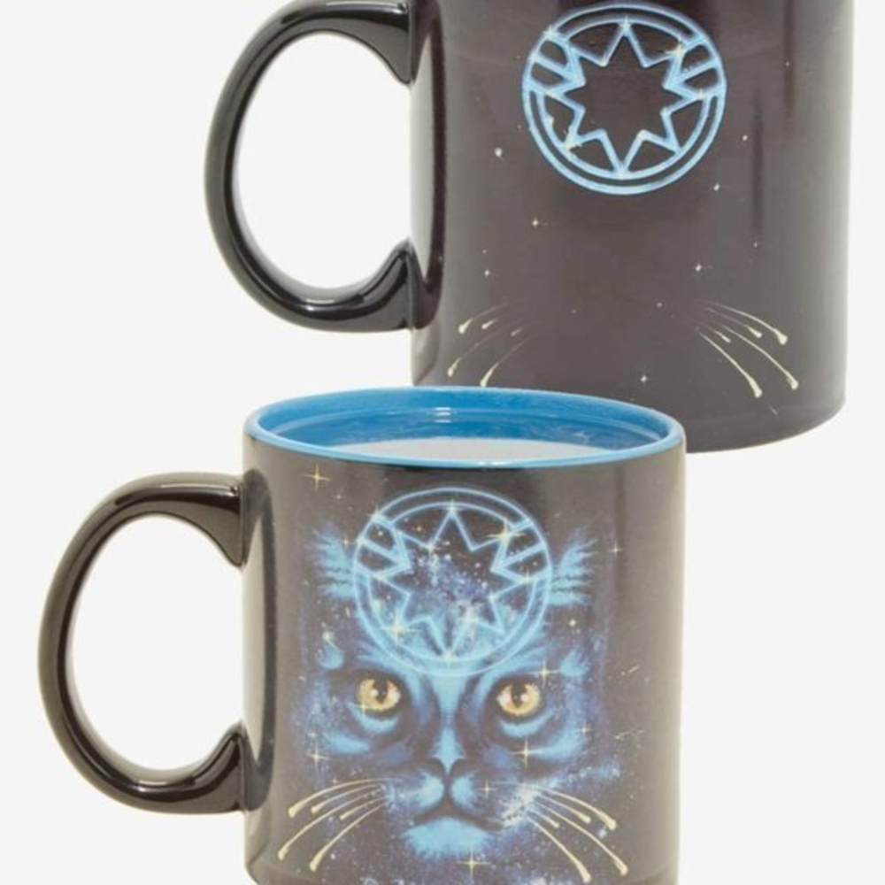 Captain marvel goose cat heat‎ reveal mug
